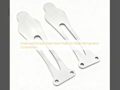 বিটজার রেফ্রিজারেশন কমপ্রেসারগুলির জন্য ইনপুট এবং এক্সপোজার রিড ভালভ প্লেট