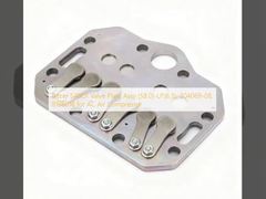 বিটজার S4BCF ভালভ প্লেট অ্যাসেম্বলি (৫৮.০)-এলপি(৬.৫), ৩০৪০৬৯-০৮, ৮১৮৬০১বি এসি এয়ার কম্প্রেশারের জন্য