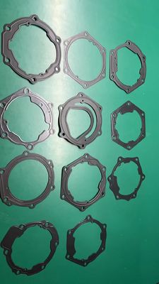 BYD E5 ISO শংসাপত্রের জন্য OEM ODM স্বয়ংচালিত ডোর গ্যাসকেট