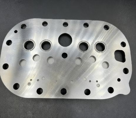 ইন্ডাস্ট্রিয়াল স্টেইনলেস স্টীল ভ্যালি হুইল ভালভ প্লেট কম্প্রেসার ভালভ প্লেট