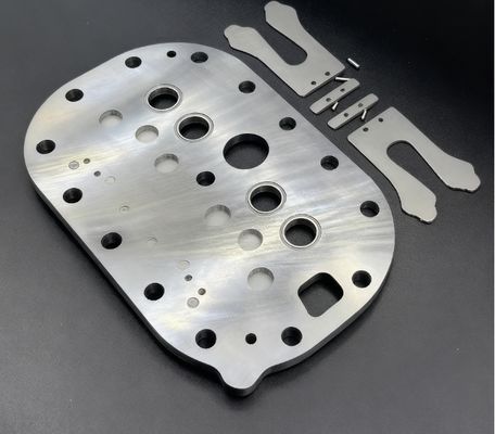 ইন্ডাস্ট্রিয়াল স্টেইনলেস স্টীল ভ্যালি হুইল ভালভ প্লেট কম্প্রেসার ভালভ প্লেট