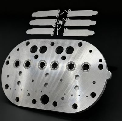 15P কোপল্যান্ড রেফ্রিজারেশন কম্প্রেসার ভ্যালভ প্লেট সমাবেশ এবং ঠান্ডা স্টোরেজ ফ্রিজারের জন্য ভ্যালভ রাইডস