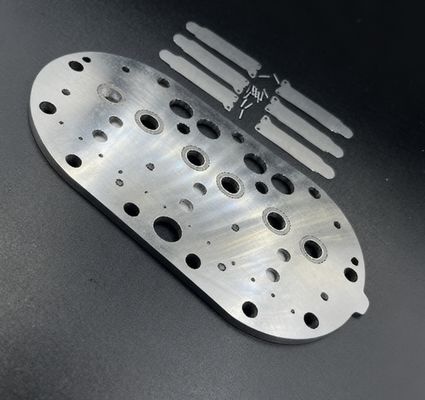 15P কোপল্যান্ড রেফ্রিজারেশন কম্প্রেসার ভ্যালভ প্লেট সমাবেশ এবং ঠান্ডা স্টোরেজ ফ্রিজারের জন্য ভ্যালভ রাইডস